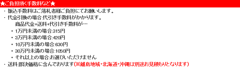 店内限界値引き中＆セルフラッピング無料-en GEC9 •プログ•ラマブル