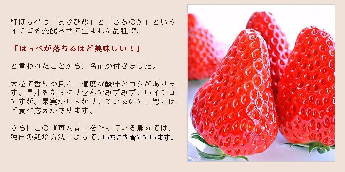 草莓草莓八景贴硅滋贺县野洲市产近江おうみ特产红脸蛋3 l尺寸12粒