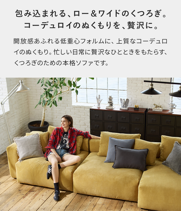 エア・リゾーム ユニットソファ ソファ ソファー 2人掛け 2Pソファ