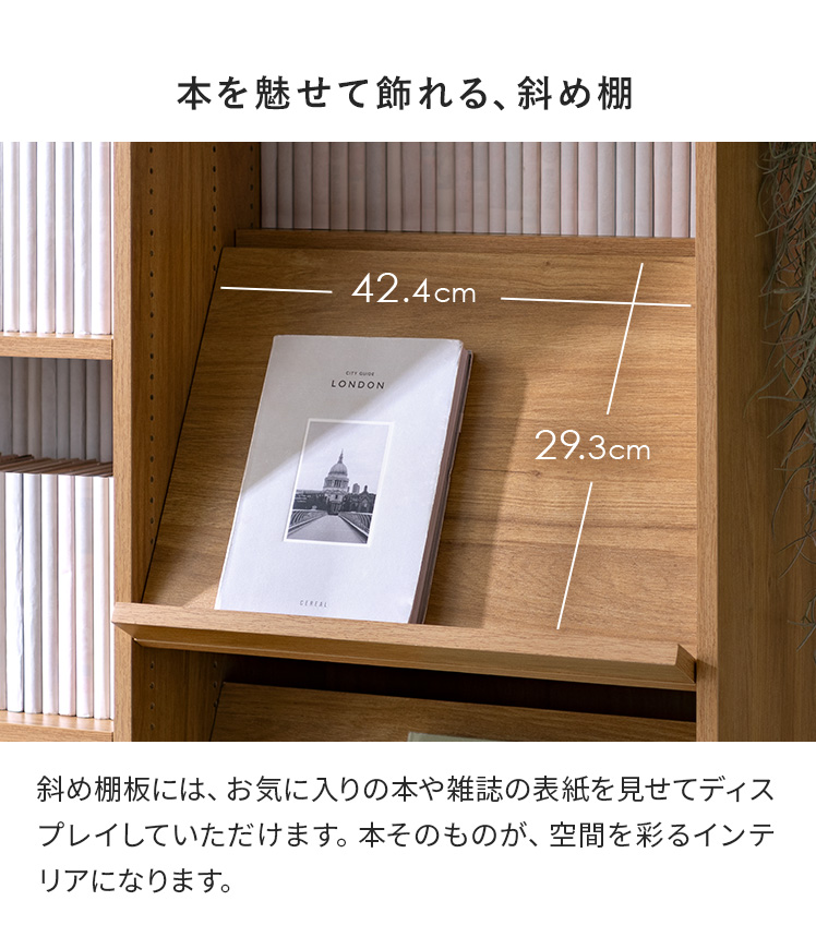 エア・リゾーム 本棚 ディスプレイラック 棚 収納棚 プランター
