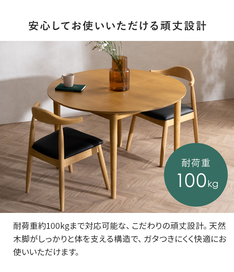 エア・リゾーム ダイニングチェア チェア イス 2脚 セット 完成品