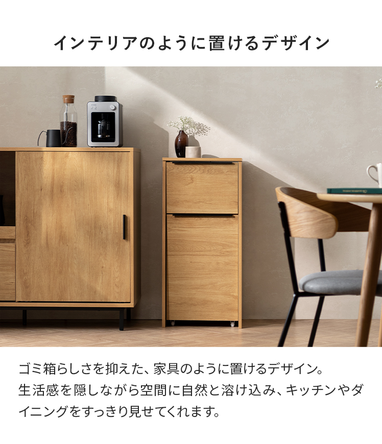 エア・リゾーム ダストボックス ごみ箱 幅40cm 15L 30L ゴミ箱