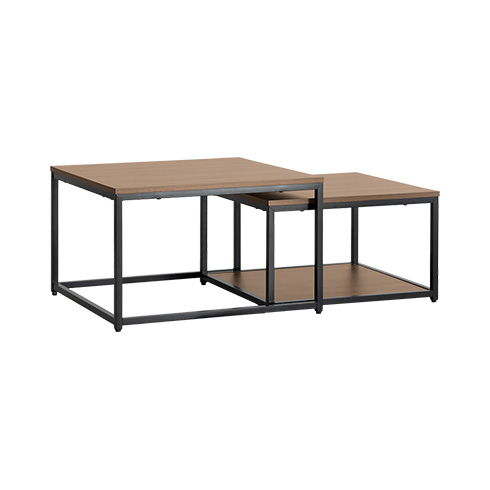 エア・リゾーム ローテーブル センターテーブル リビングテーブル