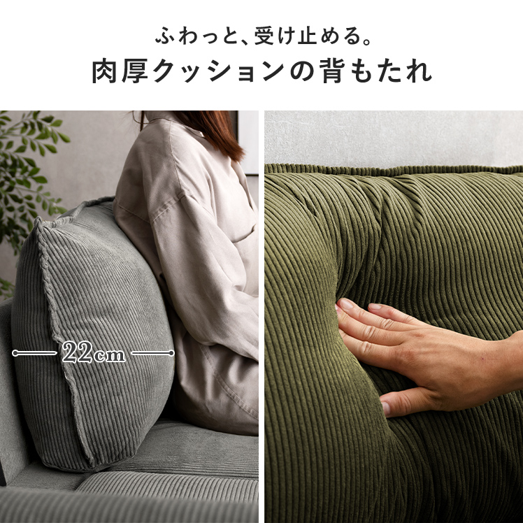 エア・リゾーム ソファー ソファ ローソファー 2人掛け カウチソファ L