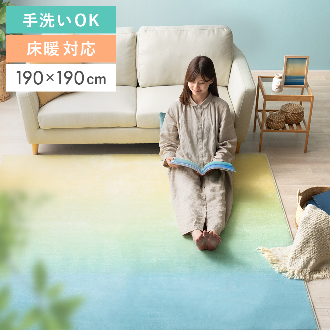 夏 用 ラグ