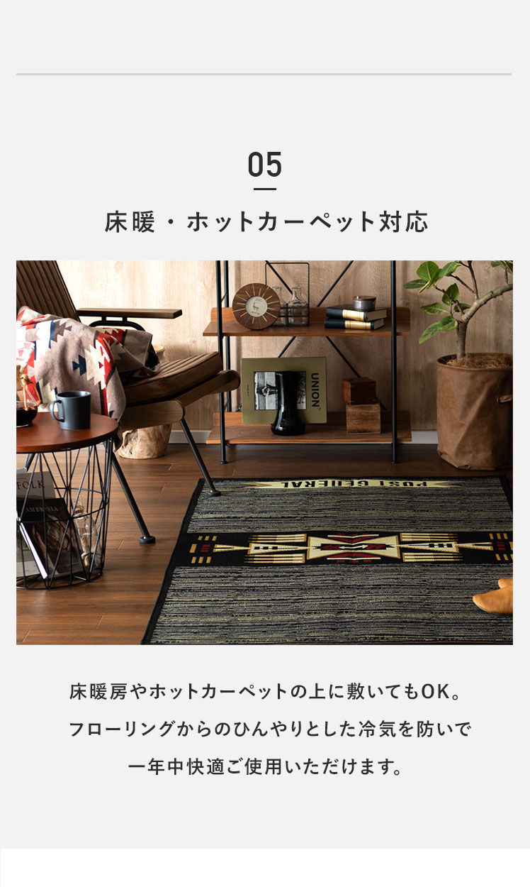 ラグ ラグマット おしゃれ 洗える 外 屋外 屋内 デザインラグ