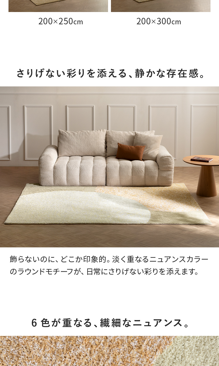 エア・リゾーム カーペット ラグ らぐ 洗える じゅうたん 絨毯