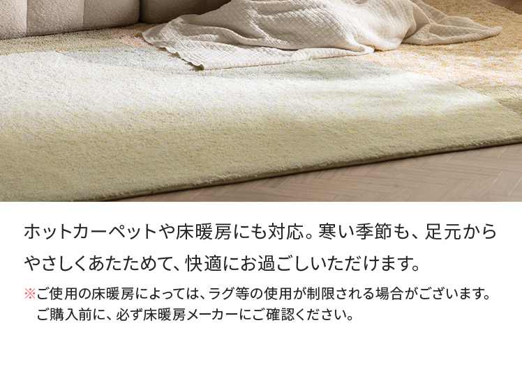 エア・リゾーム カーペット ラグ らぐ 洗える じゅうたん 絨毯