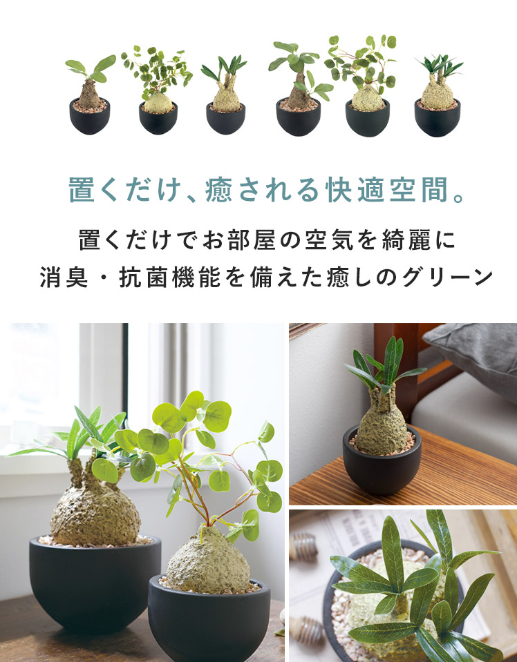 フェイクグリーン 観葉植物 コーデックス 塊根植物 人工観葉植物 人工