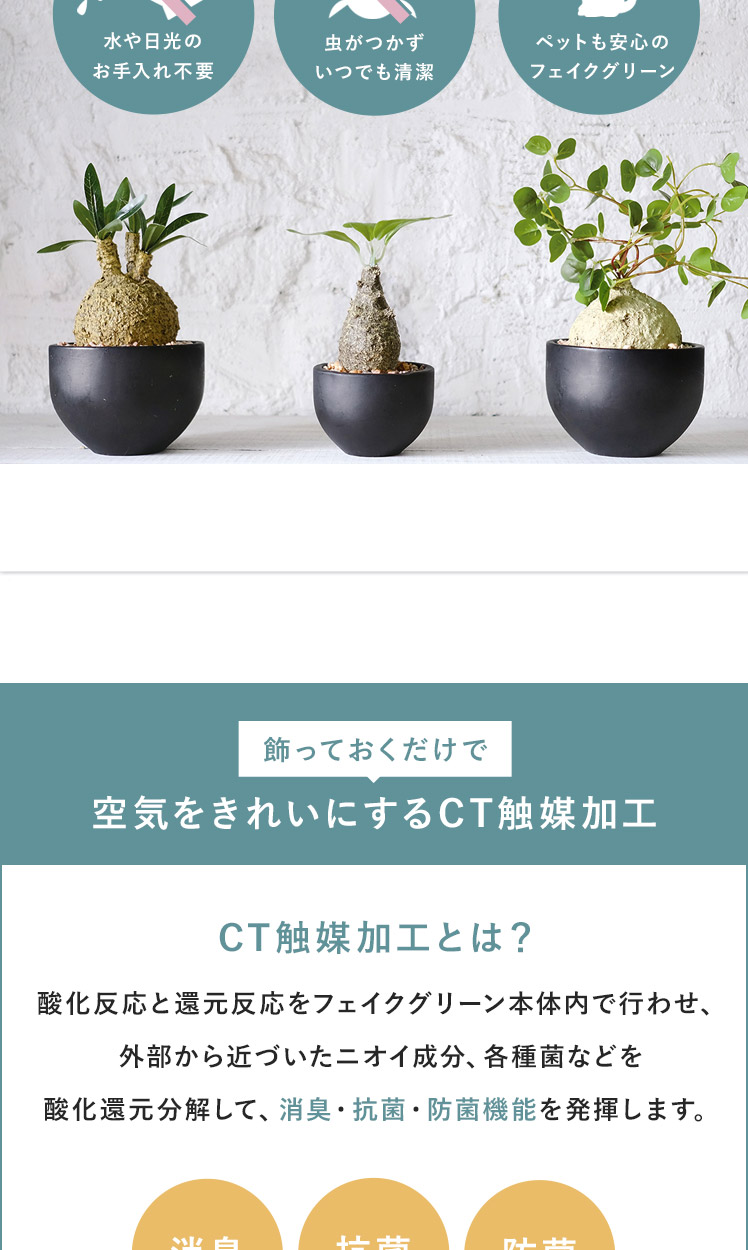 フェイクグリーン 観葉植物 コーデックス 塊根植物 人工観葉植物 人工