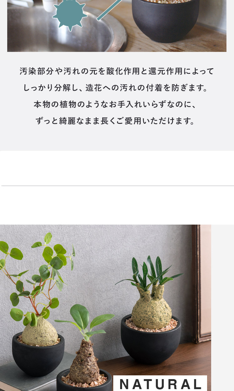 フェイクグリーン 観葉植物 コーデックス 塊根植物 人工観葉植物 人工