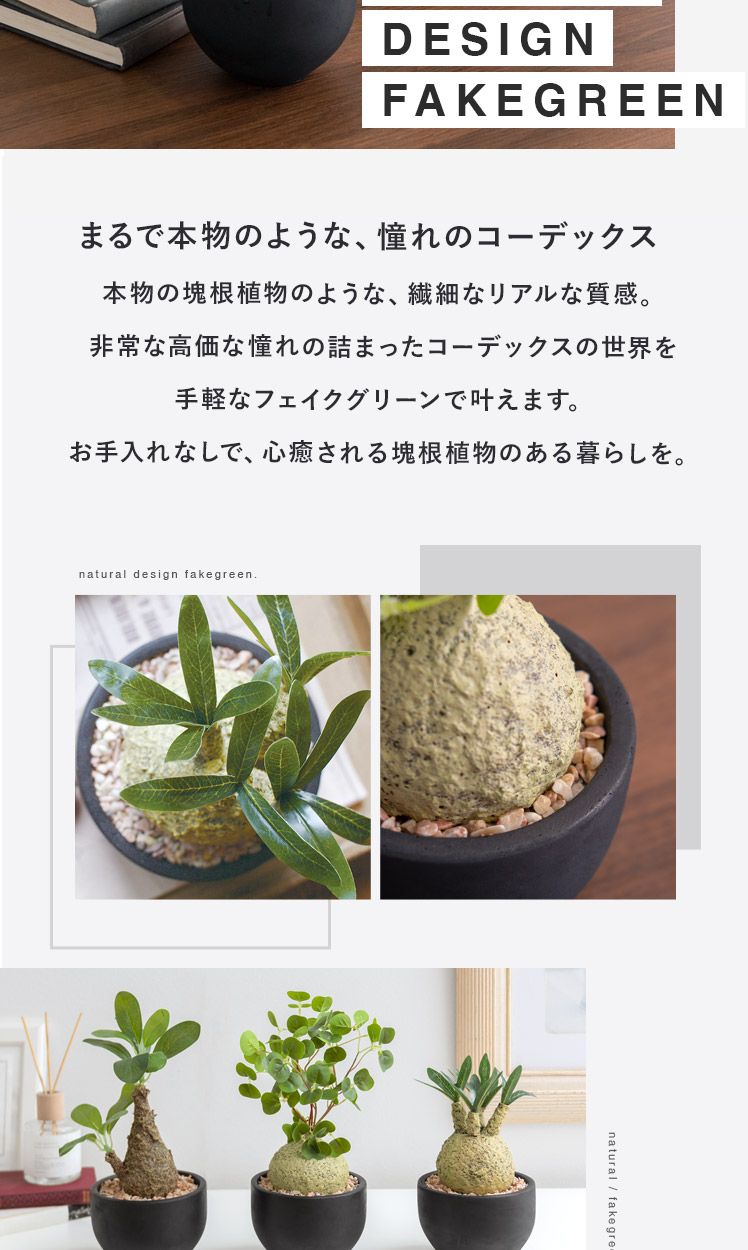 フェイクグリーン 観葉植物 コーデックス 塊根植物 人工観葉植物 人工