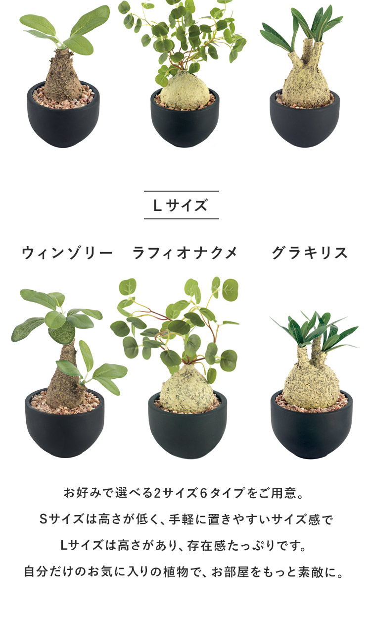 Amazon.co.jp: [山善] リーフラティス 約100×200cm ハードネットタイプ 目隠 装飾 フェイク ベランダ テラス グリーンフェンス  グリーンカーテン 日差し 簡単設置 日よけ 日除け フォレストグリーン LLH-12C FG : スポーツ＆アウトドア