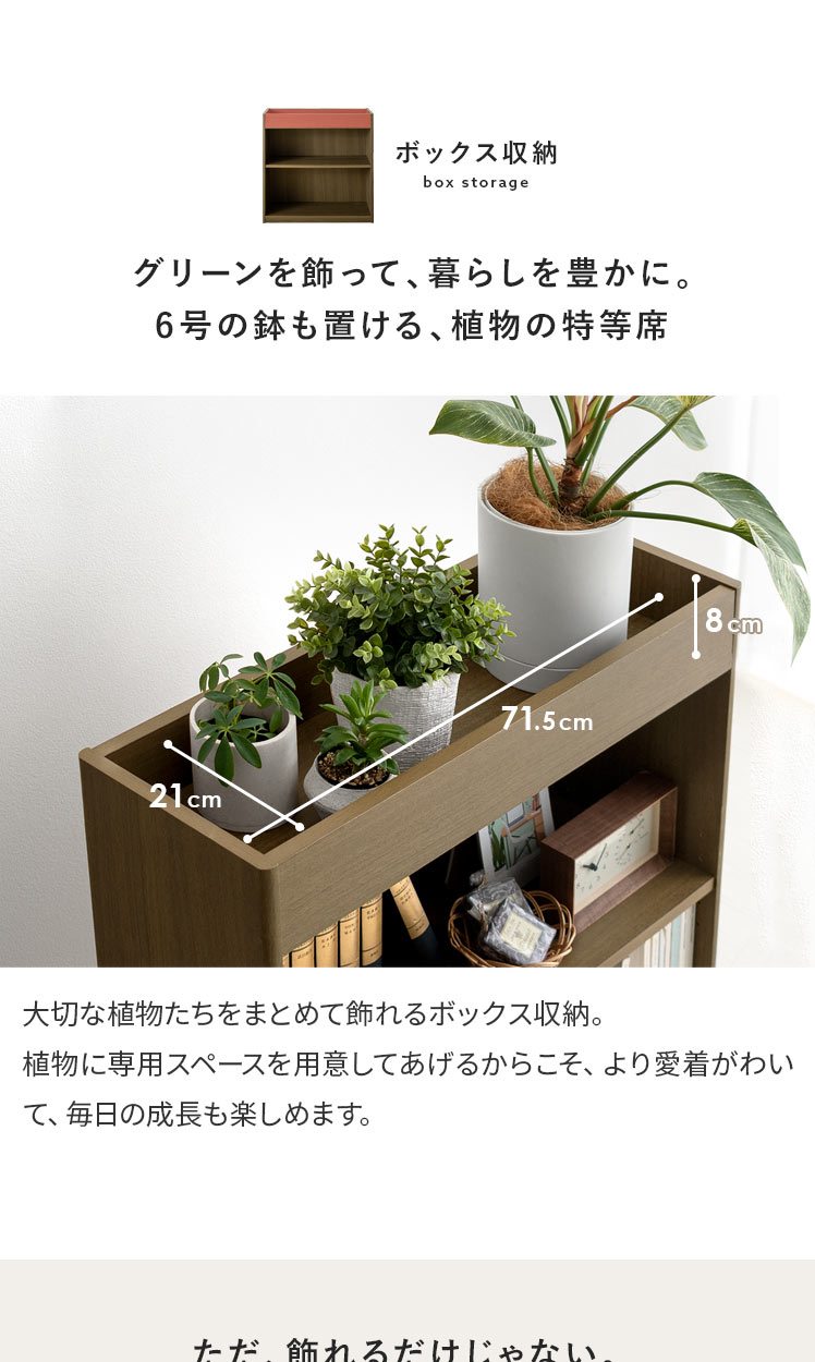 収納 プランター プランターボックス DORIS ボックス 収納ラック 間仕切り オフィス 応接室 観葉植物 ボタニカ90cm 北欧 ドリス :  dr-botanica90 : doris - 通販 - Yahoo!ショッピング