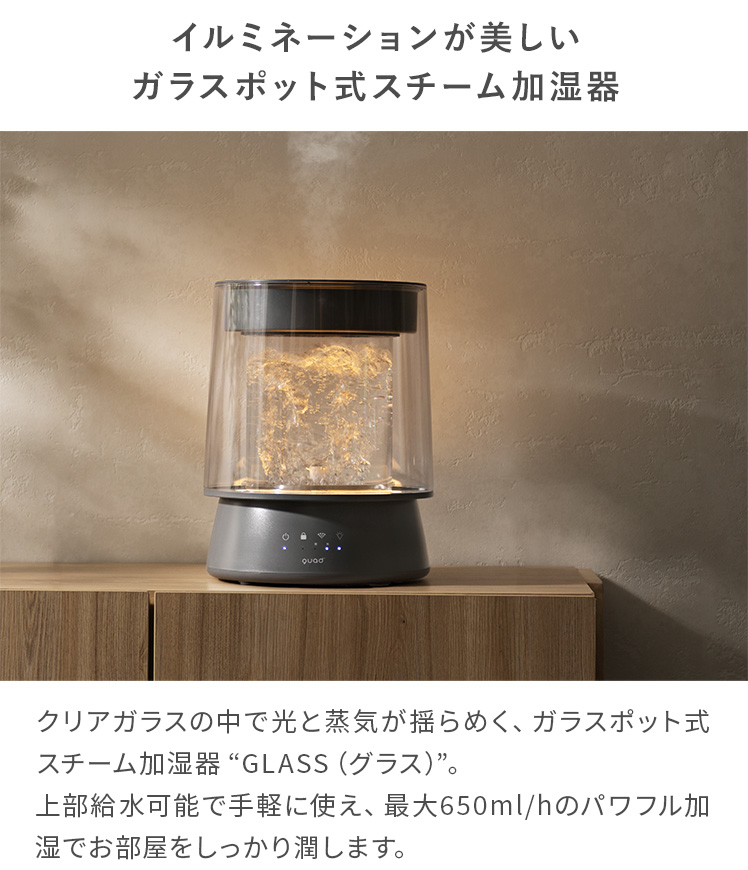 加湿器 スチーム加湿器 加熱式 クリアガラス ガラスポット