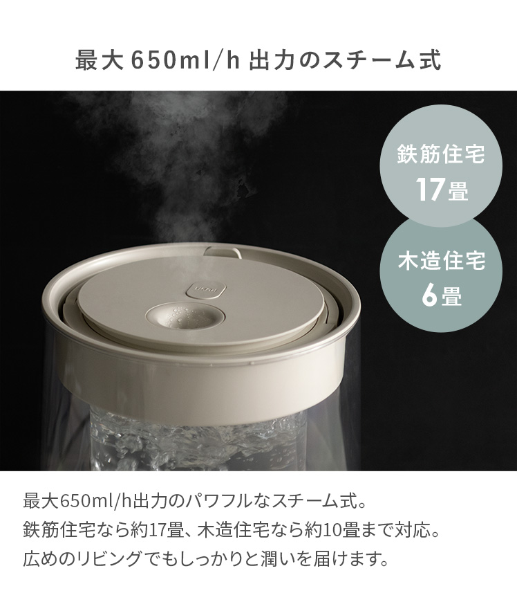 加湿器 スチーム加湿器 加熱式 クリアガラス ガラスポット 