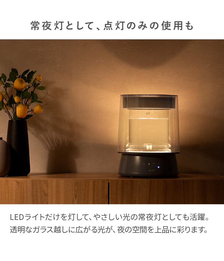 加湿器 スチーム加湿器 加熱式 クリアガラス ガラスポット 