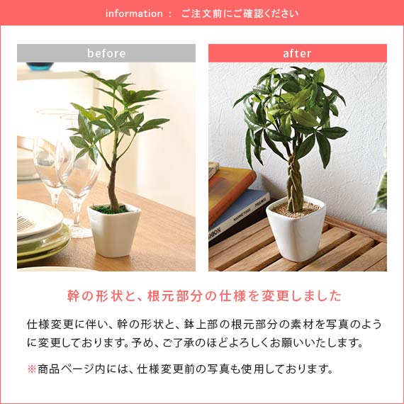観葉植物 フェイクグリーン 光触媒 パキラ ミニ 卓上 人工観葉植物
