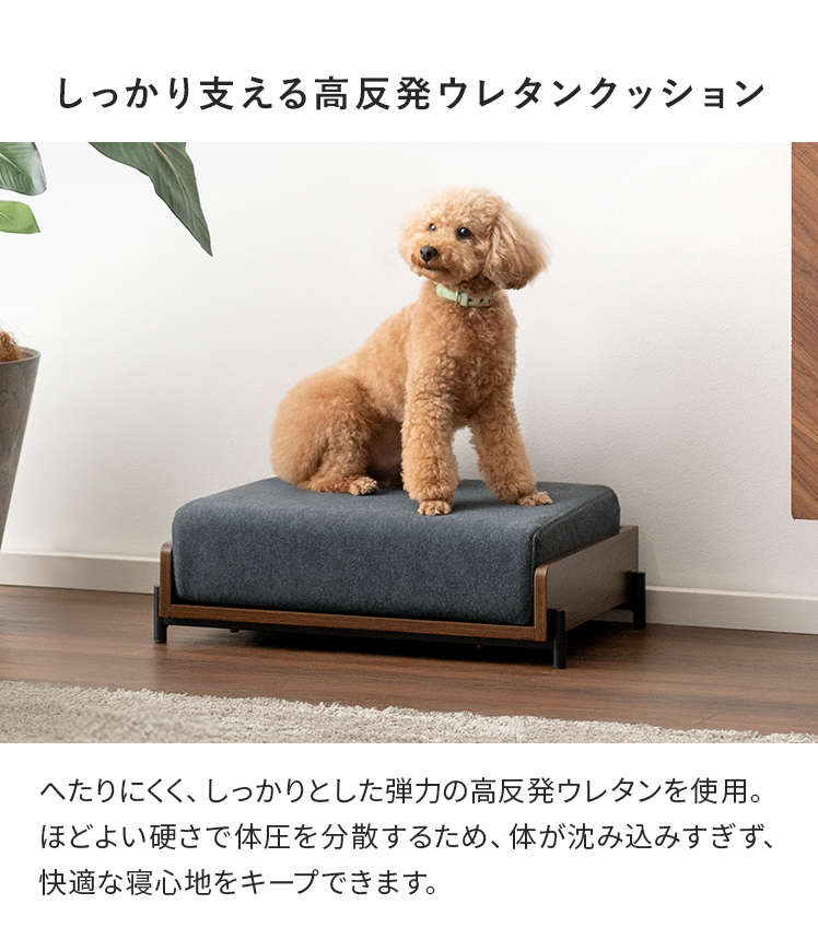 エア・リゾーム 犬 ベッド ペットベッド 犬用ベッド ペットマット