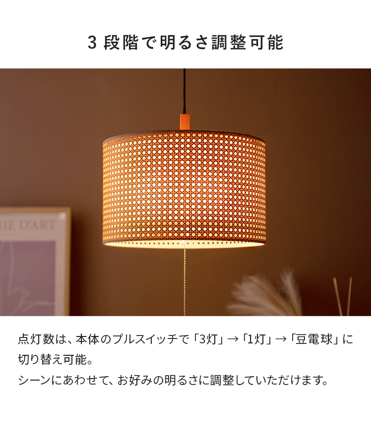 エア・リゾーム ペンダントライト おしゃれ LED 対応 照明器具 天井