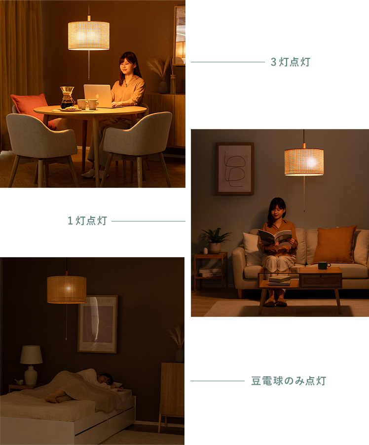 エア・リゾーム ペンダントライト おしゃれ LED 対応 照明器具 天井
