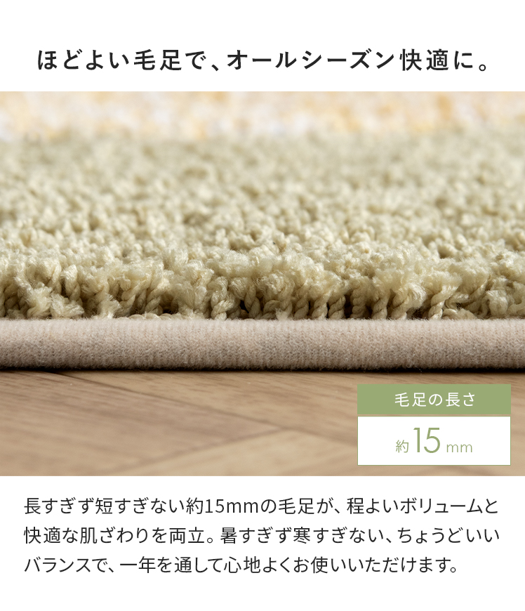 エア・リゾーム カーペット ラグ らぐ 洗える じゅうたん 絨毯
