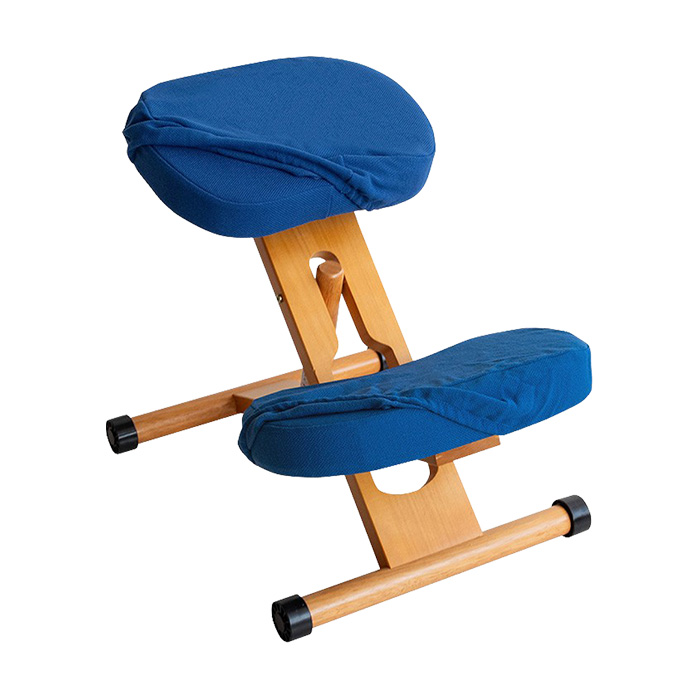 バランスチェア カバー プロポーションチェア 替えカバー2枚セット