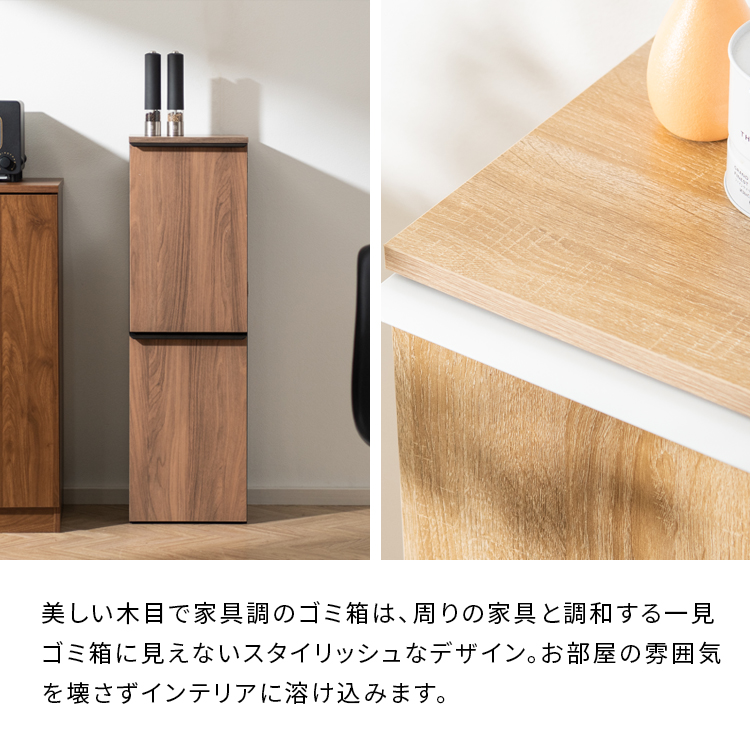 ゴミ箱 分別 おしゃれ 2段 ごみ箱 キッチン 分別ゴミ箱 ダストボックス