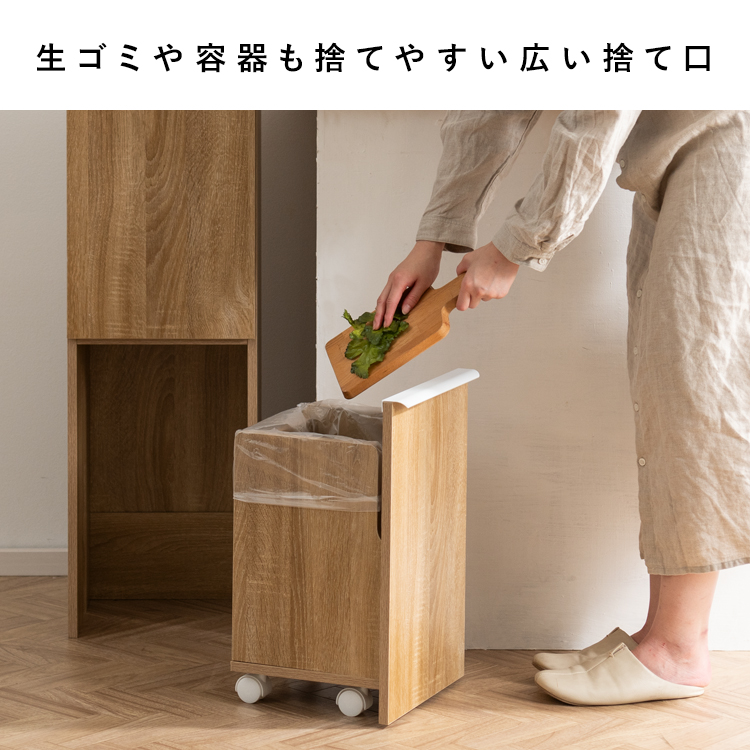 ゴミ箱 分別 おしゃれ 2段 ごみ箱 キッチン 分別ゴミ箱 ダストボックス