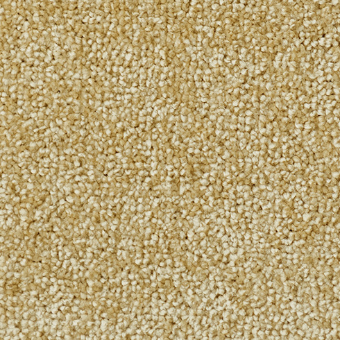 防音タイルカーペット「静床プレミア」48枚セット販売(50cm×50cm