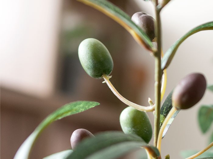 観葉植物 フェイクグリーン 人工観葉植物 光触媒観葉植物 オリーブ