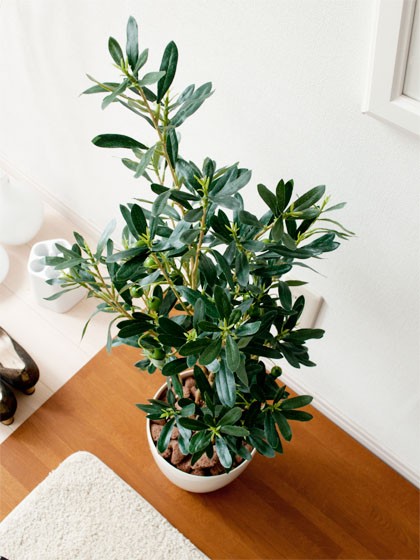 観葉植物 フェイクグリーン 光触媒 オリーブ 90cm 人工観葉植物