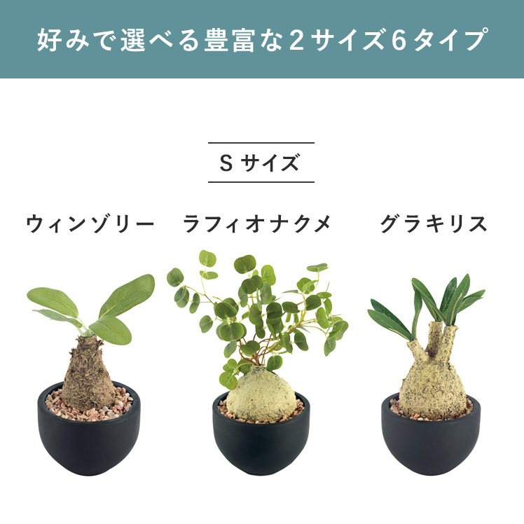 フェイクグリーン 観葉植物 コーデックス 塊根植物 人工観葉植物 人工