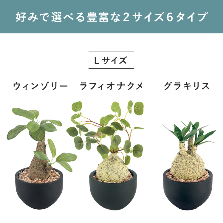 フェイクグリーン 観葉植物 コーデックス 塊根植物 人工観葉植物 人工