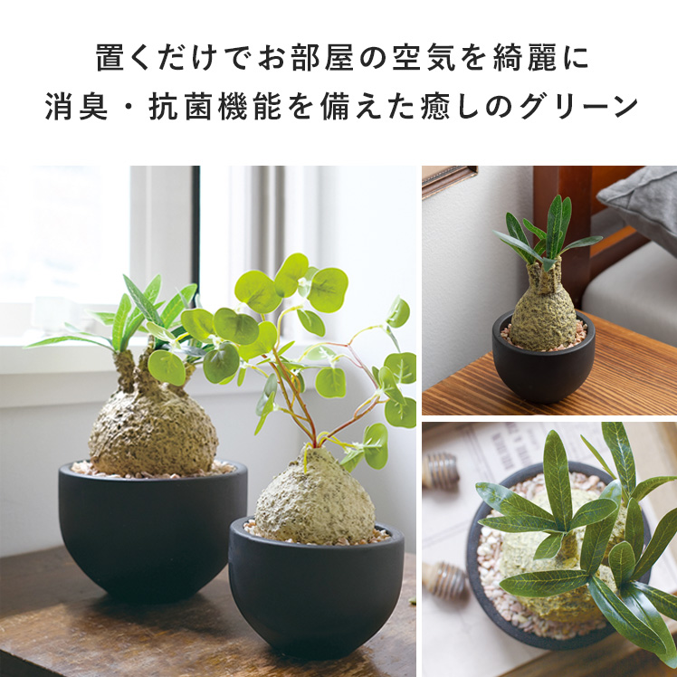 フェイクグリーン 観葉植物 コーデックス 塊根植物 人工観葉植物 人工