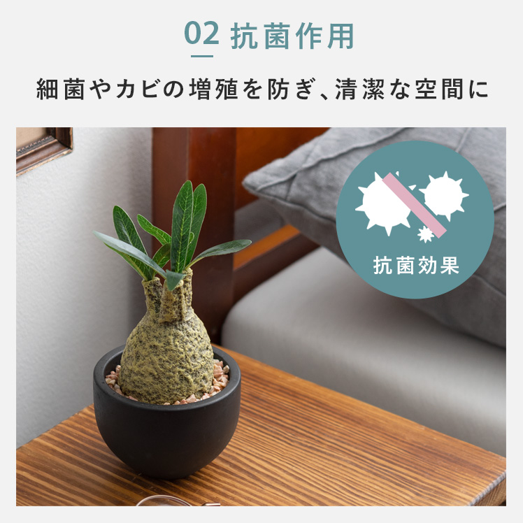 フェイクグリーン 観葉植物 コーデックス 塊根植物 人工観葉植物 人工