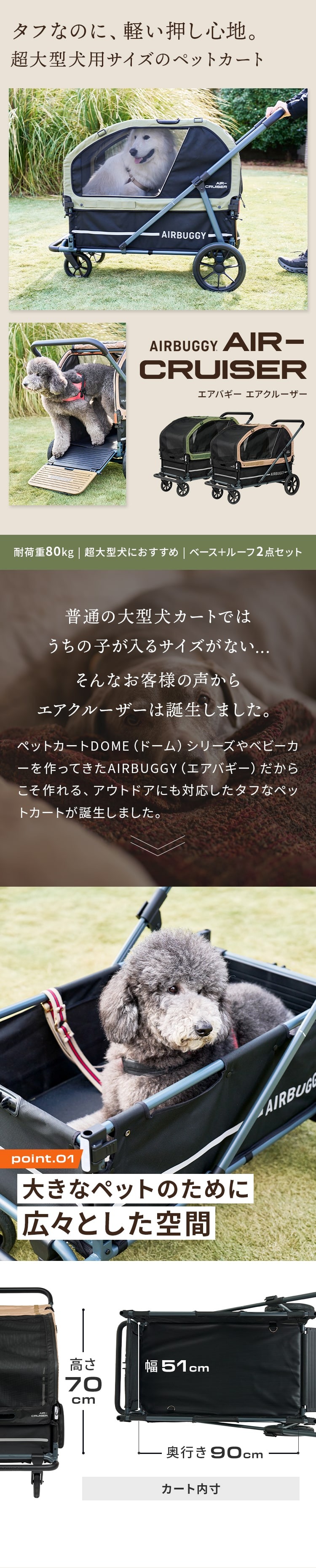 エアバギー エアクルーザー