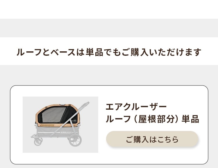 エアバギー エアクルーザー