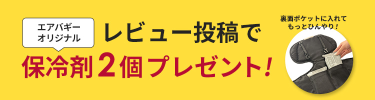 エアバギー ココ ブレーキEX フロムバース