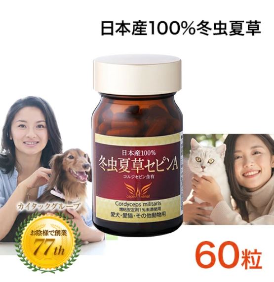 冬虫夏草 サプリメント 犬 猫 サプリ セピンA ペット 日本産 日本産100