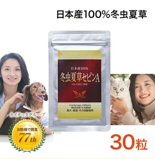 冬虫夏草 サプリメント 犬 猫 サプリ セピンA ペット 日本産 日本産100