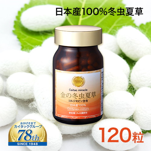 冬虫夏草 サプリメント 日本産 日本産100％ サナギタケ 金の冬虫夏草