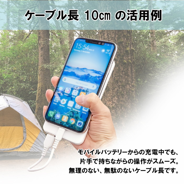 充電ケーブル タイプC 10cm iPhone 充電 ケーブル type c タイプC