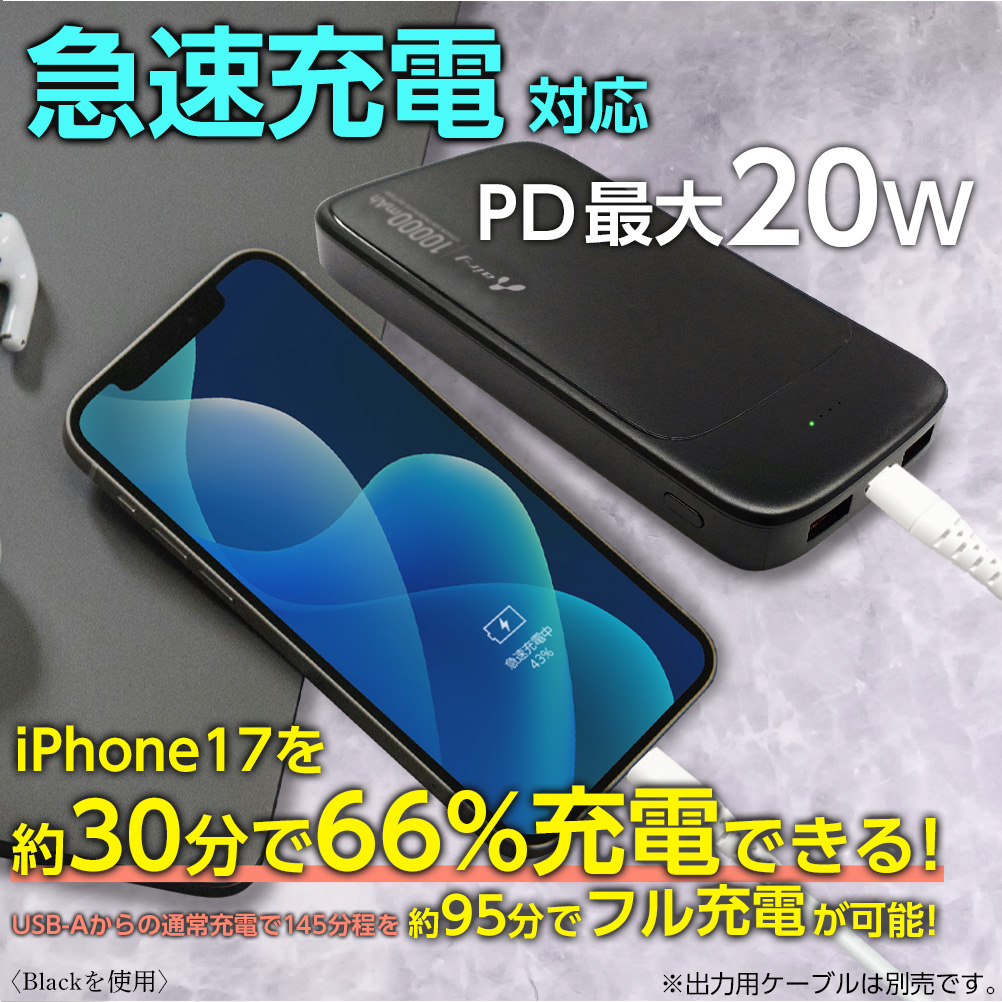 モバイルバッテリー 10000mAh リン酸鉄 LiFePO4 長持ち 1000回 充放電