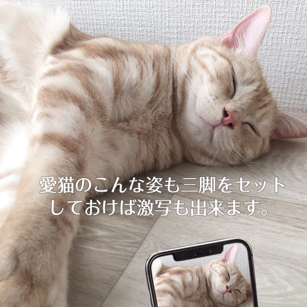 スマホ撮影三脚 フレキシブルミニ三脚