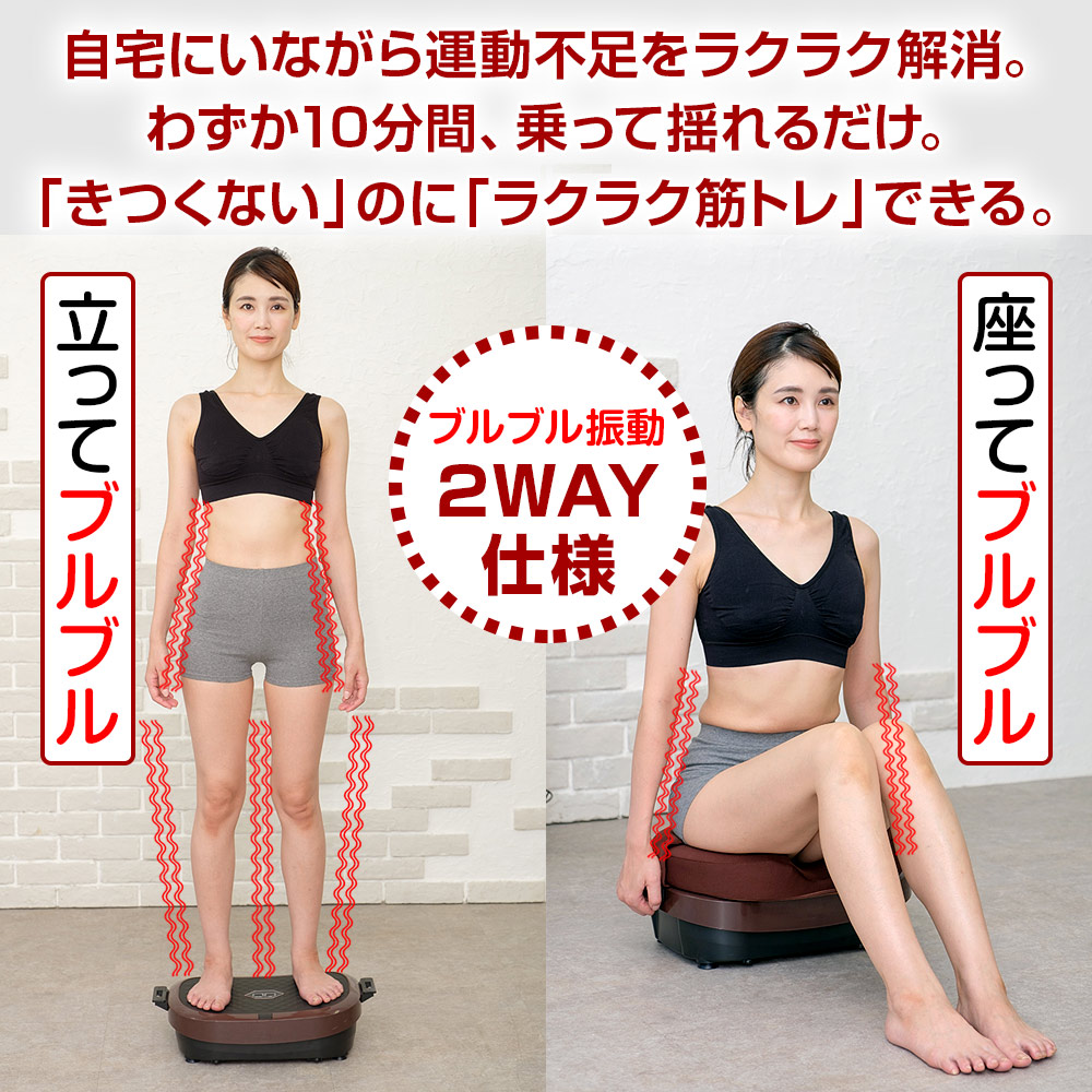 正規品】ブルブル振動マシン ライフフィット 2Wayトレーナー スマート