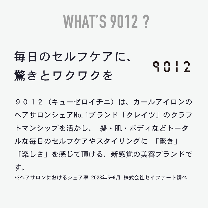 9012 イオン2WAYアイロン