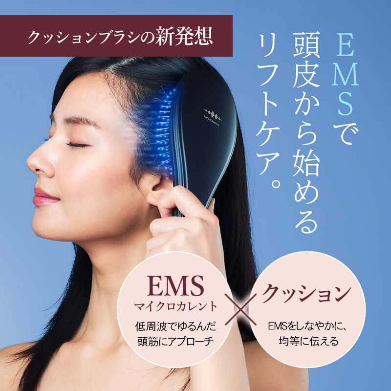 EMS Brush Air EMSブラシエアー