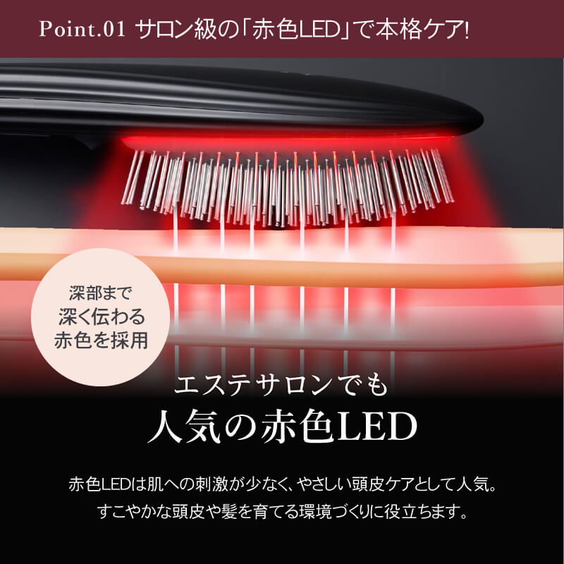 EMS Brush Air EMSブラシエアー