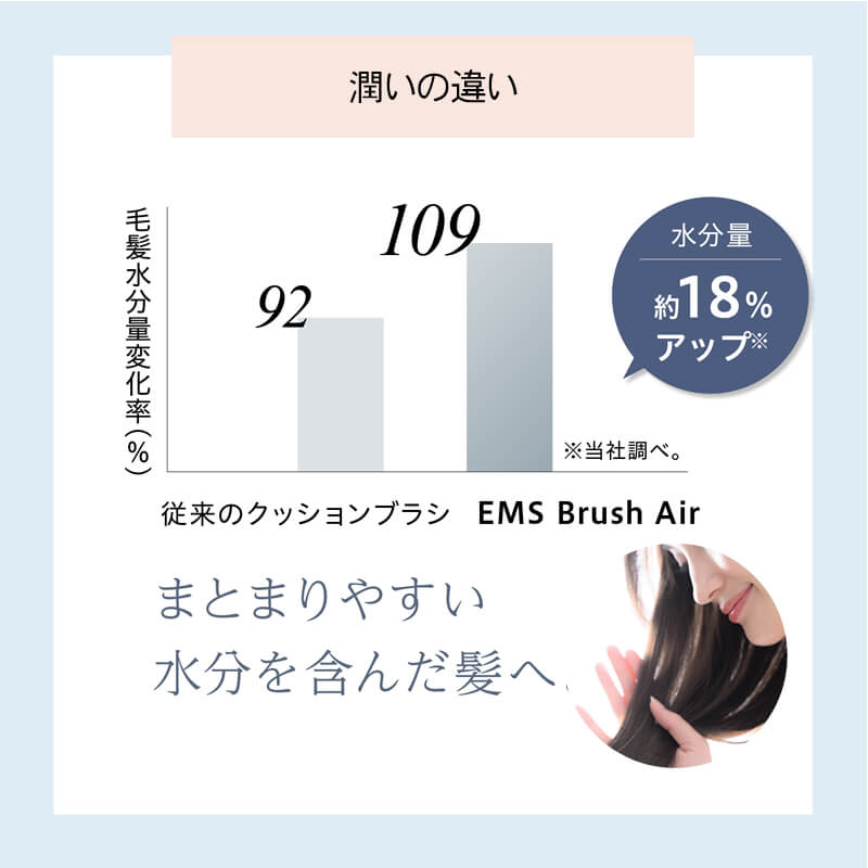 EMS Brush Air EMSブラシエアー